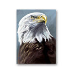 1-eagle-paintings-on-canvas-eagle-artwork-portrait-of-the-king