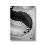 1-skate-posters-skateboard-artwork-skate-canyon
