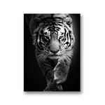 1-black-and-white-tiger-print-tiger-prints-the-alpha-tiger
