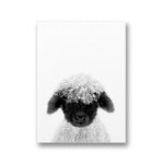 1-lamb-prints-lamb-painting-lamb-black-and-white