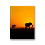 1-elephant-canvas-painting-elephant-stock-canvas-sunset-in-the-savannah