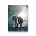 1-elephant-canvas-painting-elephant-stock-canvas-the-king