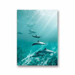 4-dolphin-artwork-dolphin-prints-a-united-family