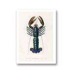 1-lobster-wall-art-lobster-painting-blue-lobster