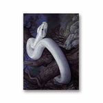 1-snake-wall-decor-snake-prints-white-python